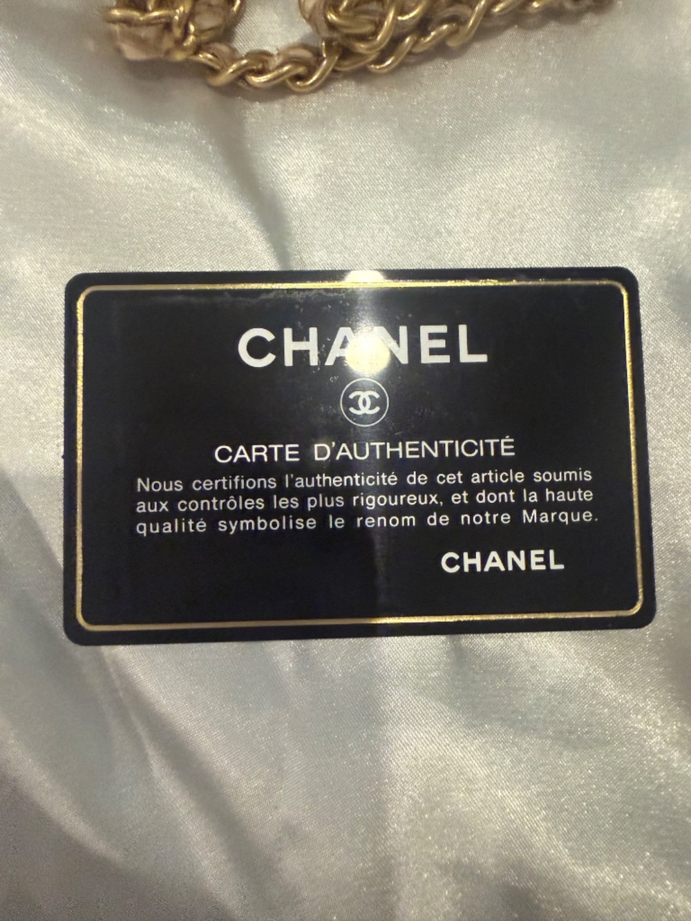 Chanel Python mini flap bag - Picture 15 of 15